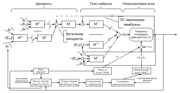 bakhshiev_neuronlifemodeling_pic3_01.png